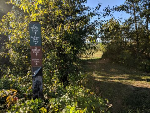 A True Hidden Gem, The 872-Acre Woodstock Equestrian Park Is Perfect For Maryland Nature Lovers