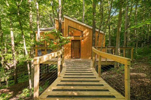 Experience The Fall Colors Like Never Before With A Stay At Winding Springs Treehouse In Michigan