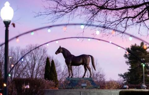 Visit 12 Christmas Lights Displays In Kentucky For A Magical Experience