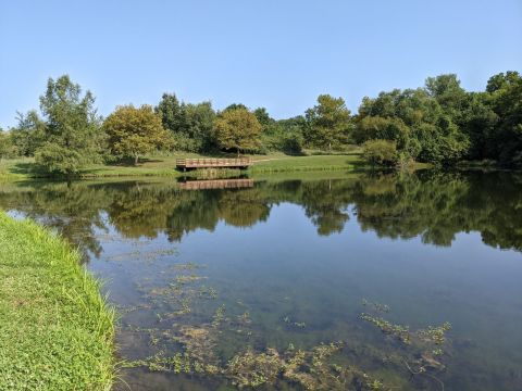 The Hickory Grove Trail At Burr Oak Woods Conservation Area Might Be One Of The Most Peaceful Hikes In Missouri