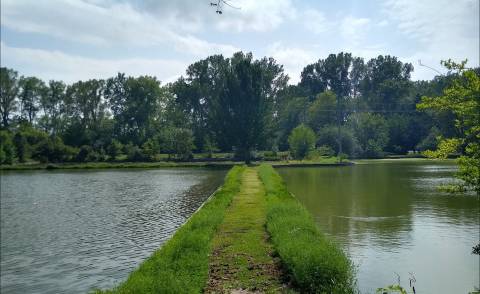 There's A Little-Known State Recreation Area Just Waiting For Nebraska Explorers