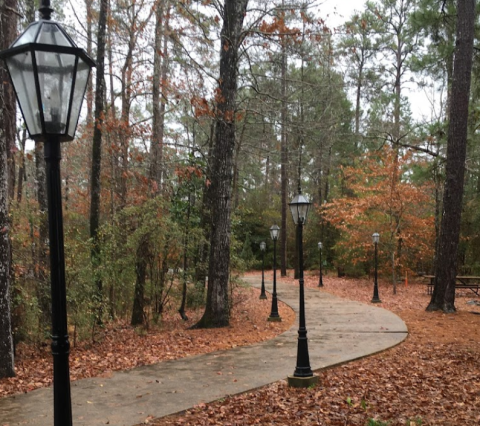 There's Almost Nothing A Hike In Louisiana Nature At South Toledo Bend State Park Can't Cure