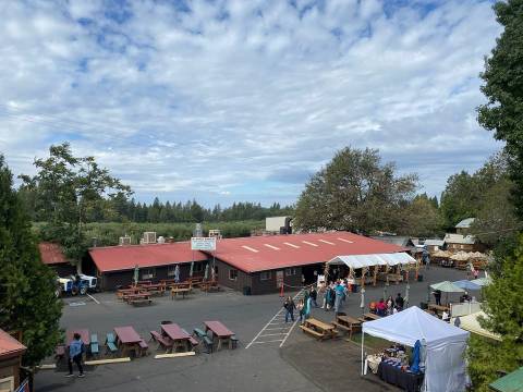 The 6 Best Places In Northern California To Get Your Apple Cider Donut Fix This Fall