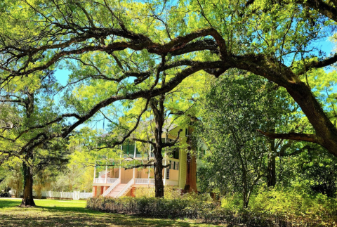 The Small Town Of St. Francisville, Louisiana Might Have More Historical Landmarks Than Stoplights