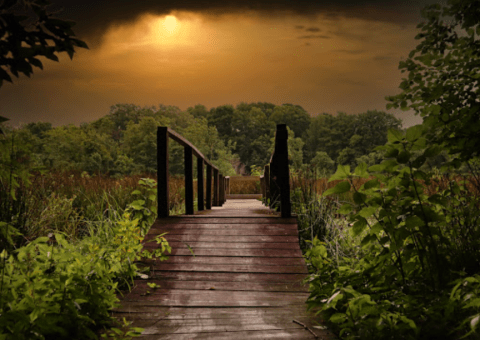 The Mississippi Park Where You Can Hike Across A Boardwalk And Swinging Bridge Is A Grand Adventure