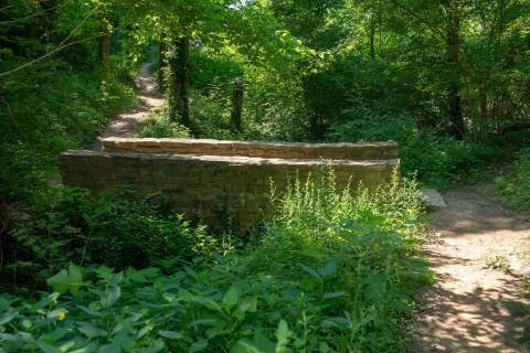 There's A Little-Known Nature Trail Just Waiting For Kentucky Explorers