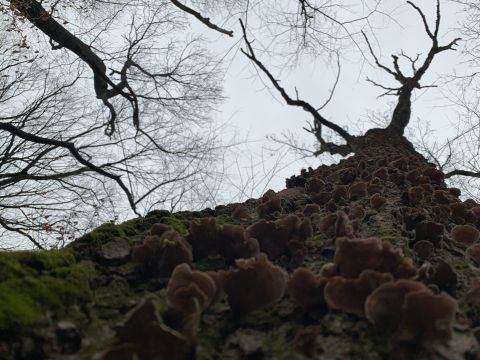 This Hike In Pennsylvania Is One Of The Scariest Haunted Hiking Trails In The U.S.