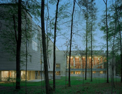 The Beautiful Mississippi Library That Looks Like Something From A Book Lover's Dream