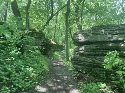 There's A Missouri Trail That Leads To Rock Formations The Entire Family Will Love