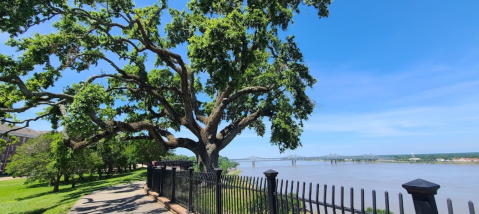 This Beautiful River Hike In Mississippi Has A Mouthwatering Restaurant Right Along The Trail