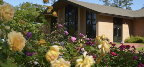 This Beautiful 118-Acre Rose Garden In Louisiana Is A Sight To Be Seen