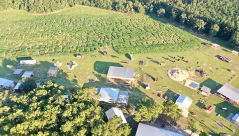 The One-Of-A-Kind CM Farms In Louisiana Serves Up Fresh Homemade Fudge To Die For