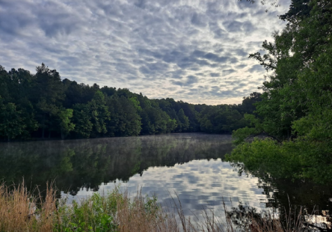 There's A Little-Known Nature Trail Just Waiting For Tennessee Explorers