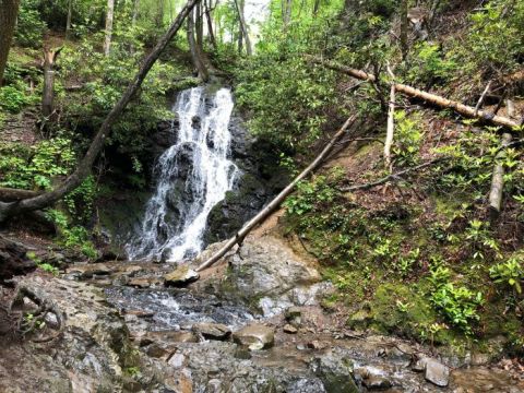 Take This Easy Trail To An Amazing 25-Foot Waterfall In Tennessee