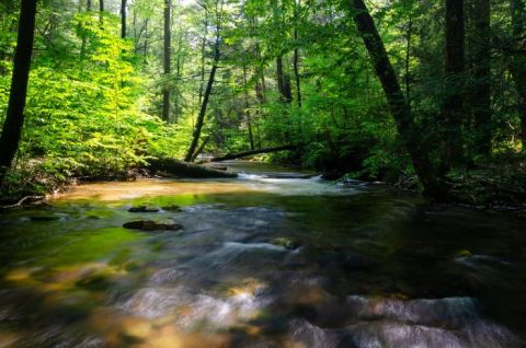 Visit Laurel Run Park In Tennessee, A Hidden Gem That Has Its Very Own Waterfall