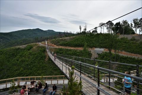 The Longest Pedestrian Cable Bridge In The Whole Country Is Right Here In Tennessee