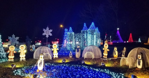 Even The Grinch Would Marvel At The Christmas Light Display At The Christmas House In South Carolina