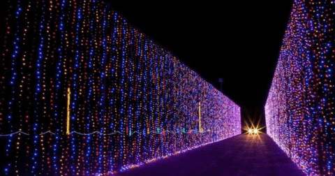 Here Are The 11 Best Christmas Light Displays In Virginia. They’re Incredible.