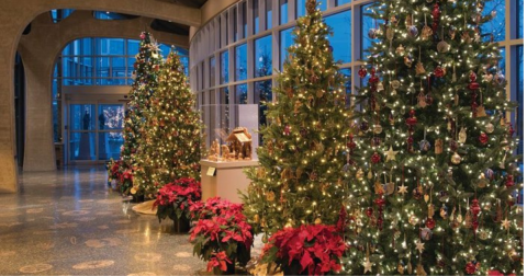 The Garden Christmas Light Display At Frederik Meijer Gardens In Michigan Is Pure Holiday Magic