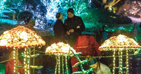 The Garden Christmas Light Display At Brookside Gardens In Maryland Is Pure Holiday Magic