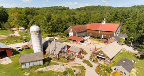 Go Pumpkin Picking, Then Sleep In A Treehouse Surrounded By Fall Foliage On This Weekend Getaway In New Hampshire