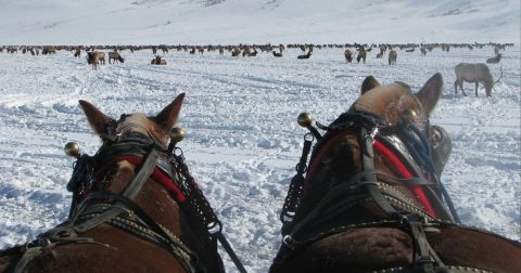 It's Not Christmas In Wyoming Until You Do These 13 Enchanting Things