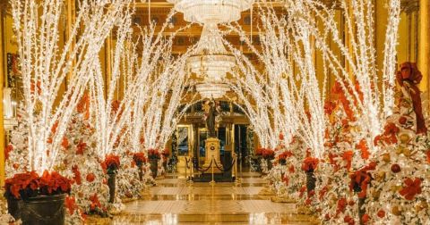 The Roosevelt Hotel Lobby Has One Of The Most Enchanting Christmas Displays In New Orleans