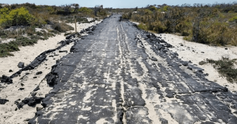 Most People Don’t Know The Story Behind Maryland’s Abandoned Road To Nowhere