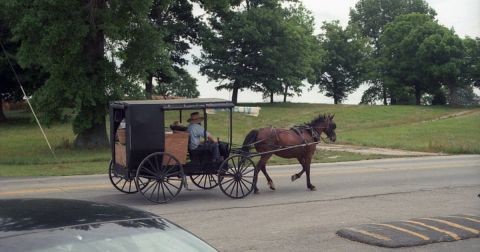 The Tiny Amish Town In Kentucky That's The Perfect Day Trip Destination