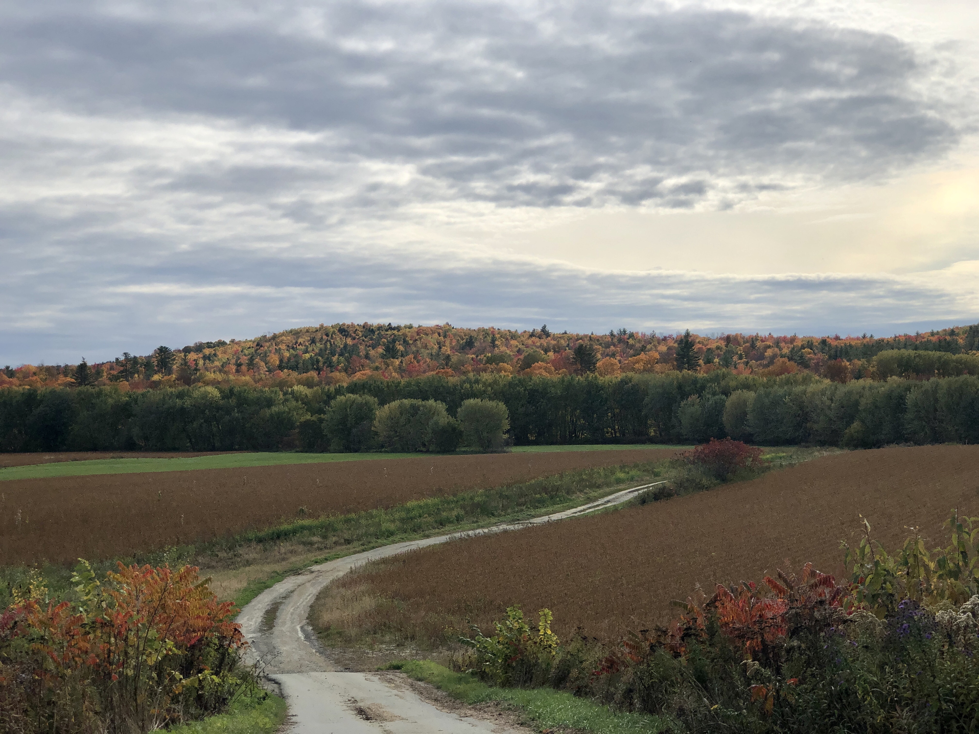 Maine banner image