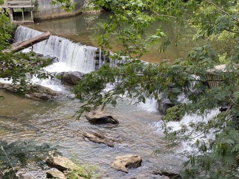 Few People Know This Beautiful Nature Trail In Georgia Even Exists