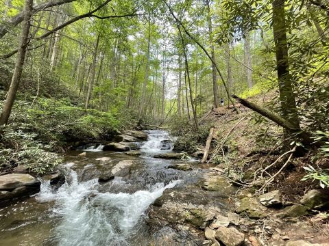 Hike To Ravens Cliff Falls, Then Reward Yourself With An Aerial Adventure In Helen, Georgia