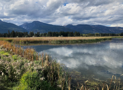 There's A Little-Known Wildlife Refuge Just Waiting For Montana Explorers