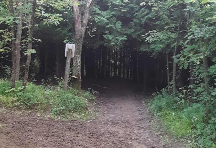 zumbro bottoms loop is an often overlooked minnesota trail