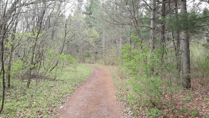 zumbro bottoms loop is an often overlooked minnesota trail