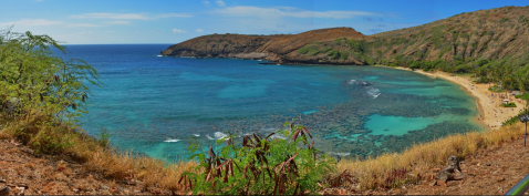 There's A Little-Known Nature Trail Just Waiting For Hawaii Explorers