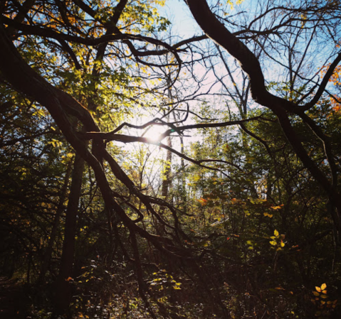 Traipse Through An Enchanting Fairy Tale Forest At Sugarcreek Metro Park