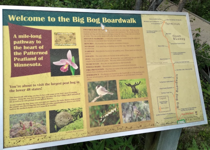 minnesota peatland bog