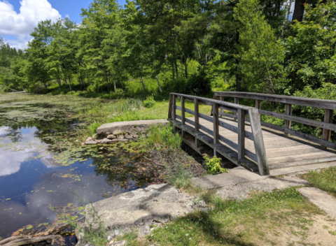 With Woodland Trails And Beautiful Lakes, James L. Goodwin State Forest In Connecticut Is Straight Out Of A Fairy Tale