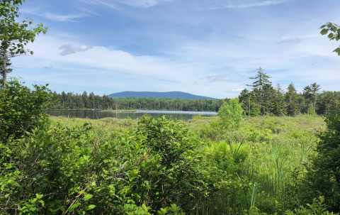 There's A Little-Known Nature Trail Just Waiting For Vermont Explorers