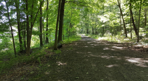 There's Almost Nothing A Hike In Connecticut Nature At Whittemore Glen State Park Scenic Reserve Can't Cure