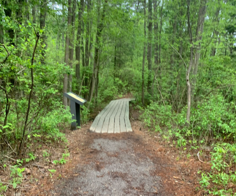 Don't Let These Stunning Views Fool You, Batsto Lake Trail In New Jersey Is Actually An Easy Hike