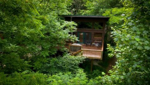 The River's Edge Treehouse Resort Near The Cheoah River In North Carolina Lets You Glamp In Style