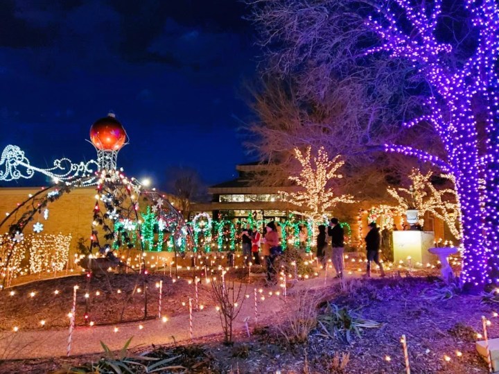 botanical gardens christmas lights