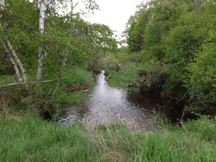 Carlos Avery WMA is a hidden gem Minnesota nature lovers will enjoy