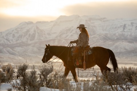 Enjoy A Trail Ride With KB Horses And Experience Utah At Its Wildest And Most Wonderful