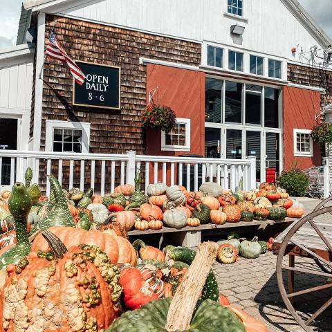 The 5 Best Places In Massachusetts To Get Your Apple Cider Donut Fix This Fall