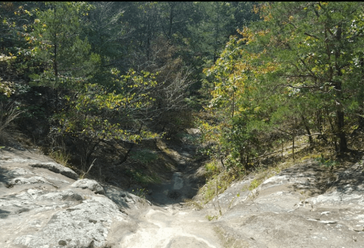 Ferne Clyffe may be the most dangerous park in Illinois.