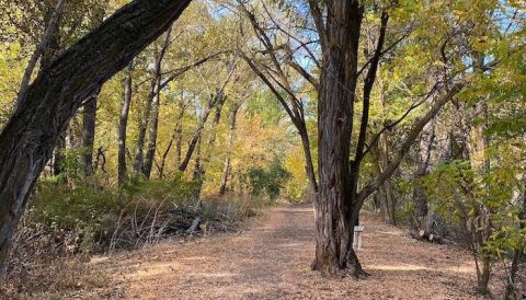 There's A Little-Known River Walk Just Waiting For Idaho Explorers