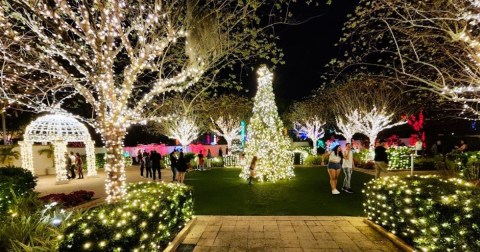 The Garden Christmas Light Display At Florida Botanical Gardens Is Pure Holiday Magic